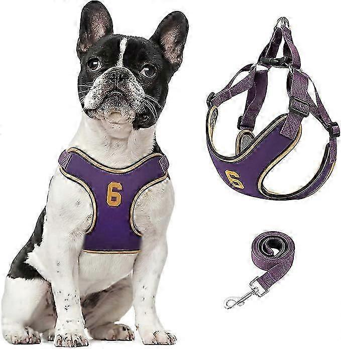 犬用ハーネスとリードセット、ペットベストハーネスの調整可能なステップソフトイージーウォーク、小型中型犬用のチョック子犬ハーネスなし