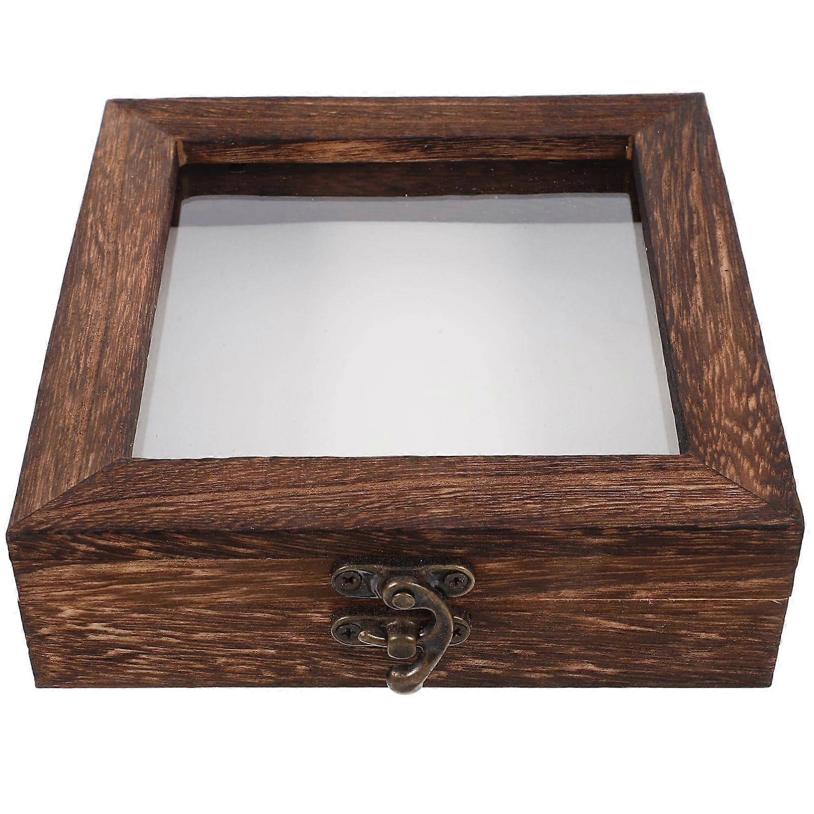 Butterfly Specimen Display Case Insect Display Box Wooden Frame EVA Padding Top Loading Shadow Box