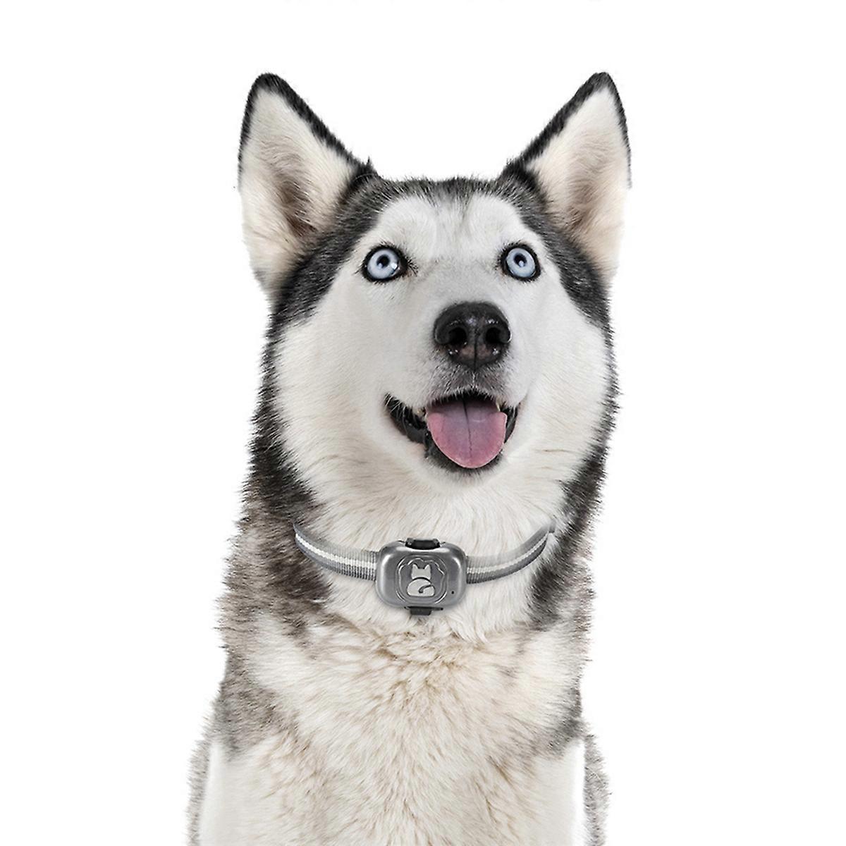 2X 2G Gps Tracker for Dog Locator Waterproof Anti-Lost Device Smart Phone Object Finder Small Alarm