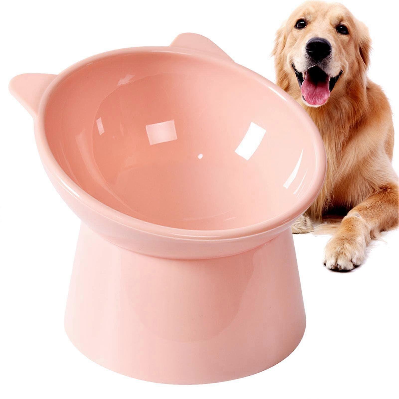 Feeding Bowls for Cats Raised Cat Bowl With Stand Tilt Anti Vomiting No Spill Non Slip Cat Bowl For Cat And Puppy