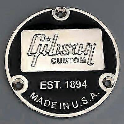 Gitarr Toggle Switch Back Metal Cover