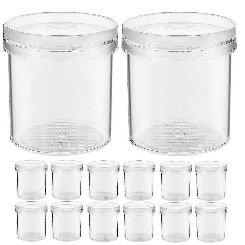 20Pcs Magnifying Boxes Cages Household Containers Portable Critter Boxes