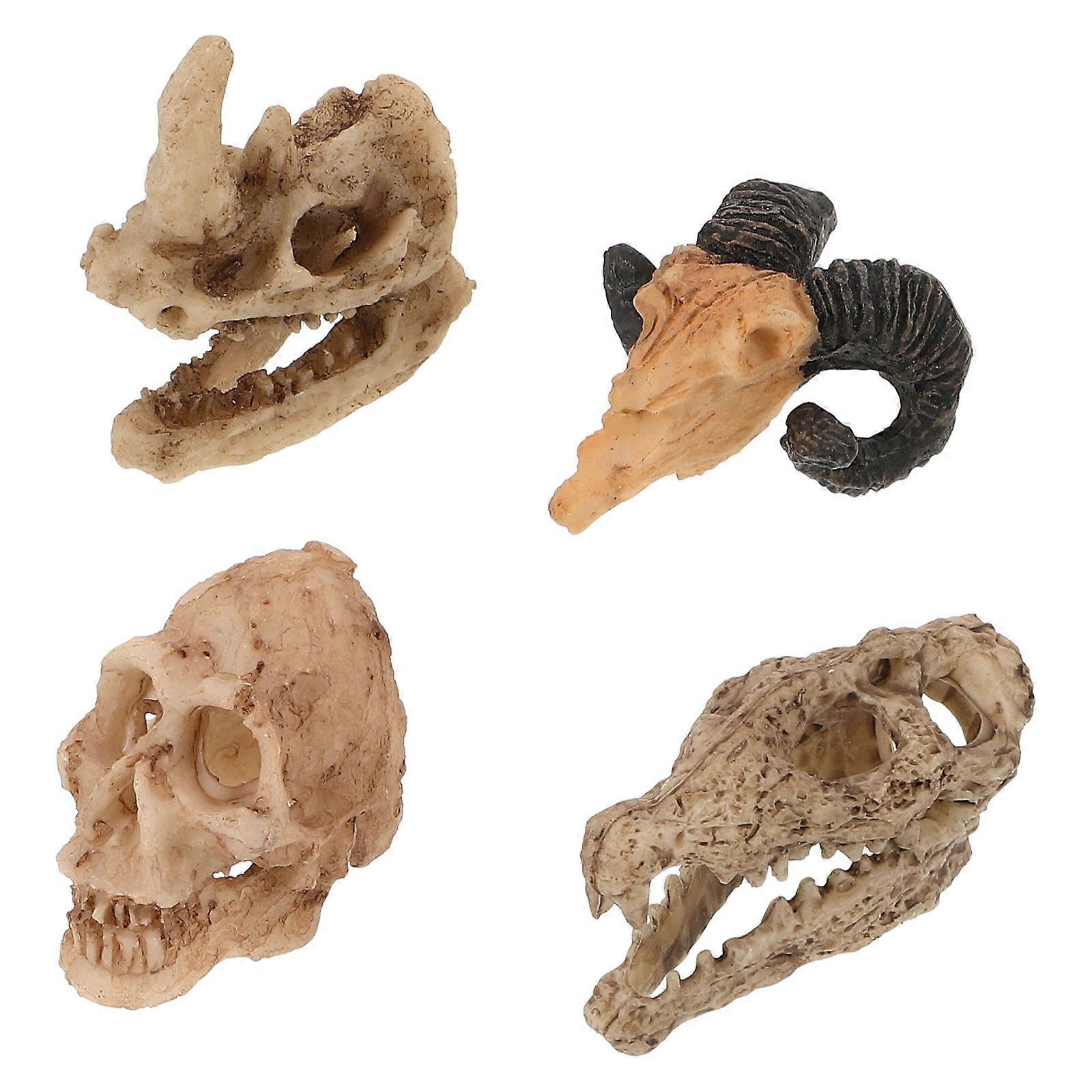 Reptile Skull Model for Decoration 4Pcs Resin Reptile Tank Hide Cave