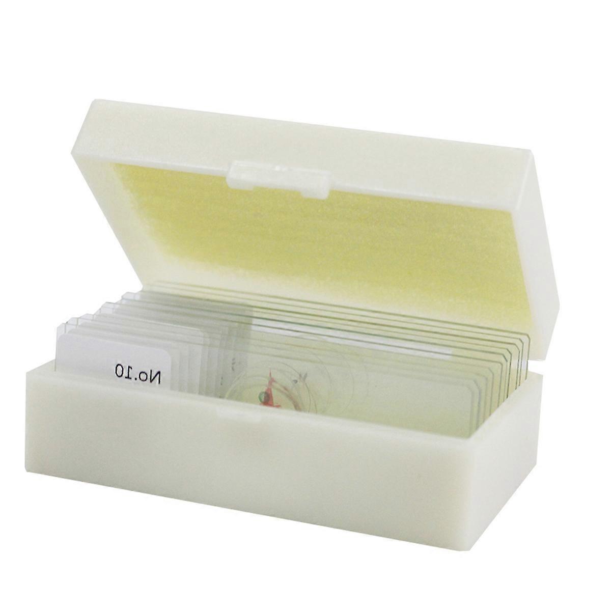 Glass Specimen Slides Sample Specimens Microscope Prepared Set 10Pcs for Study