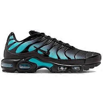 Shoes Nike Air Max Plus DM0032016