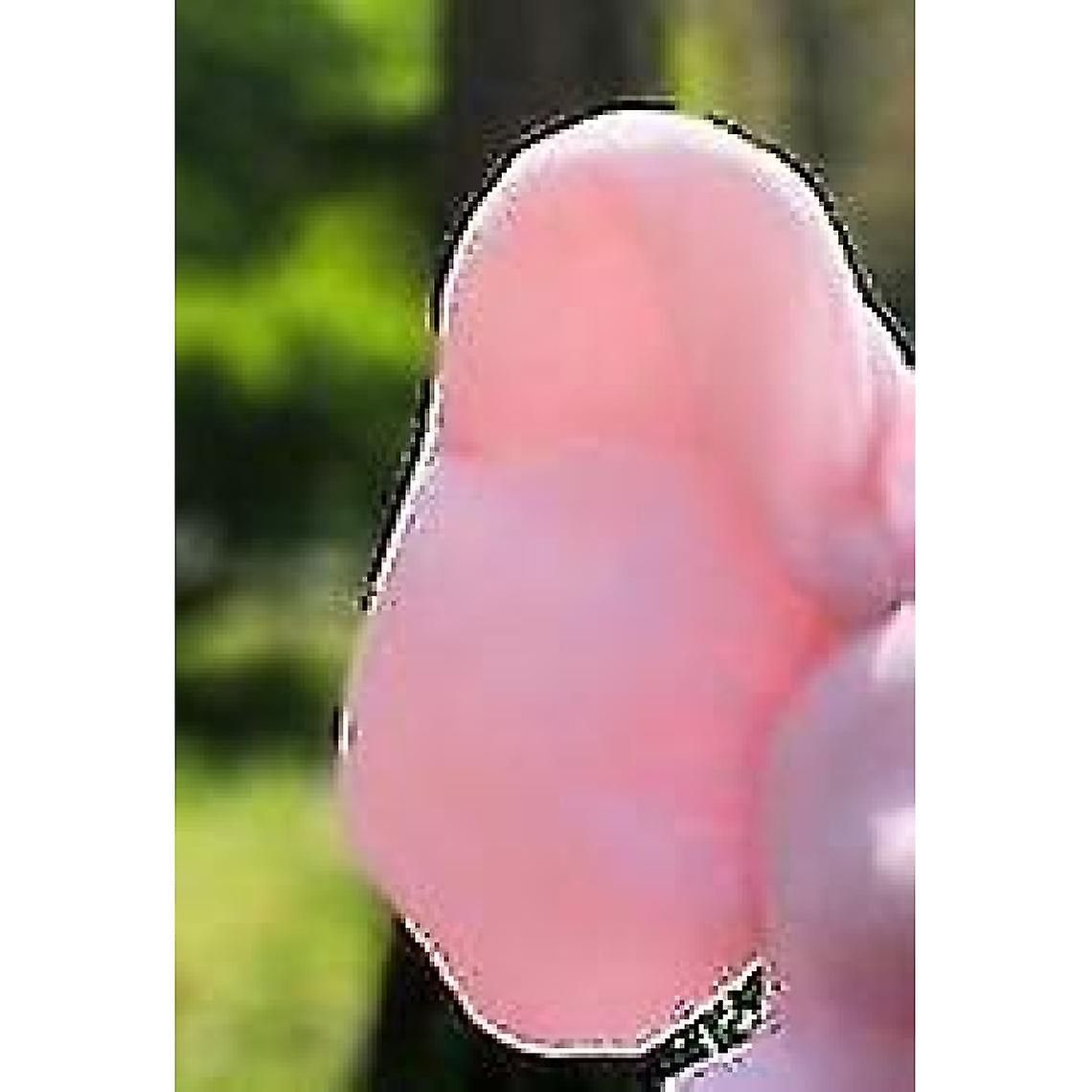 Stuffed Plush Doll, Electric Singer Topink