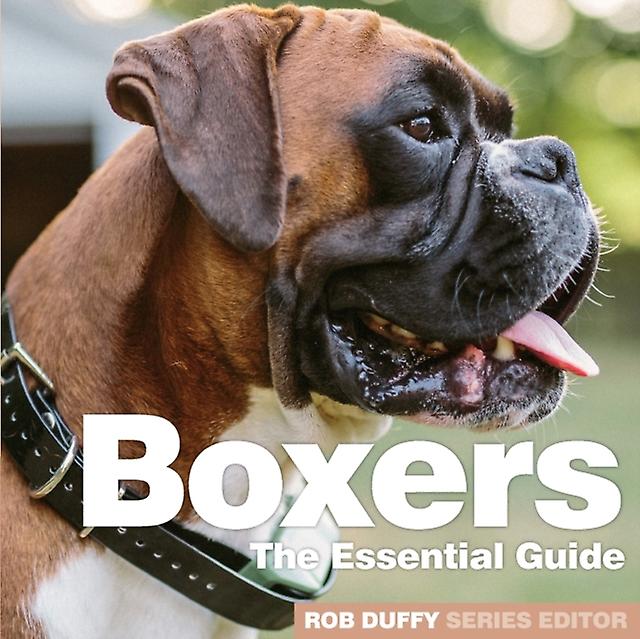 Boxers Paperback