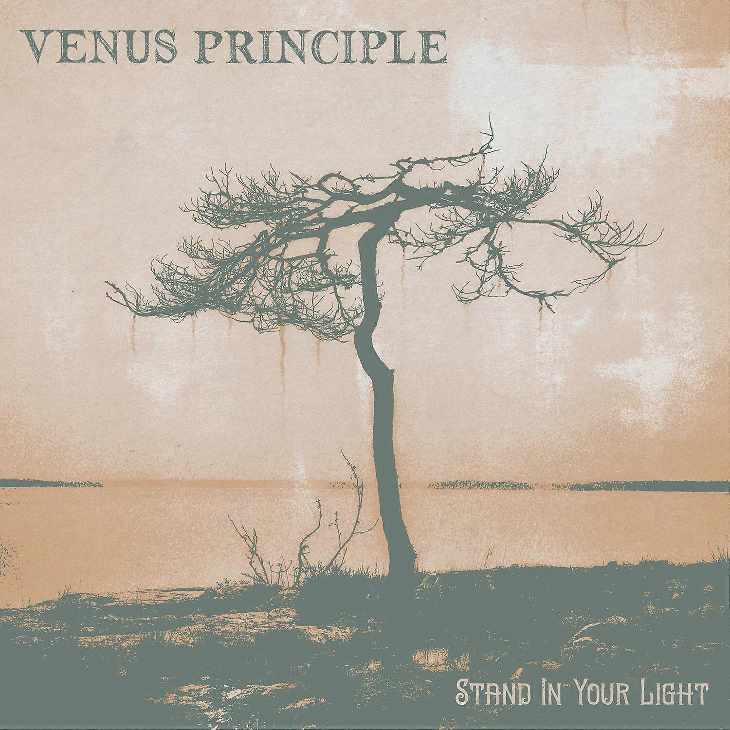 Venus Principle - Stand In Your Light  [COMPACT DISCS] Digipack Packaging USA import