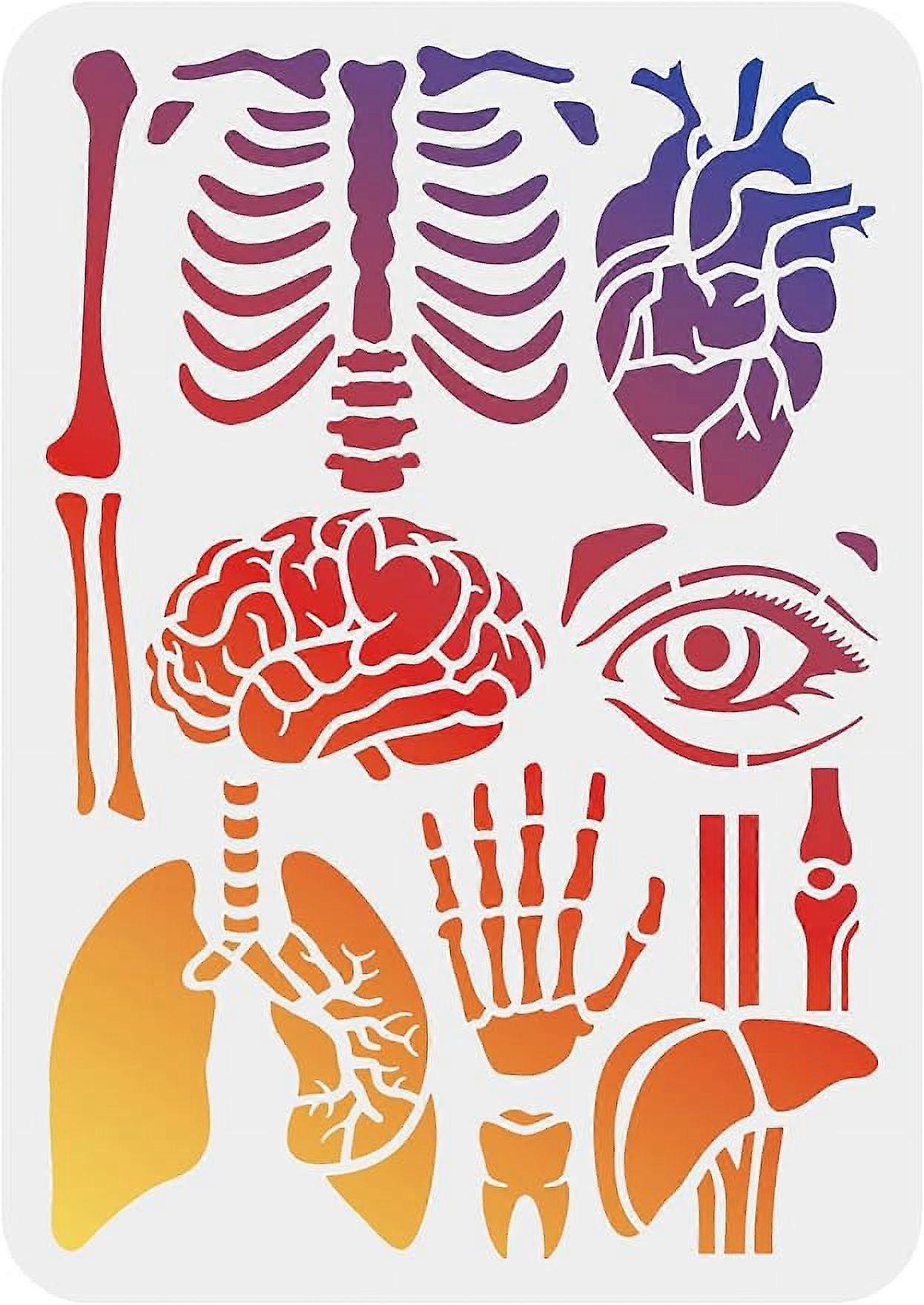 1Pc Human Body Reusable Painting Stencil Drawing Template for DIY Crafts Handwork Projects 8.3x11.7inch