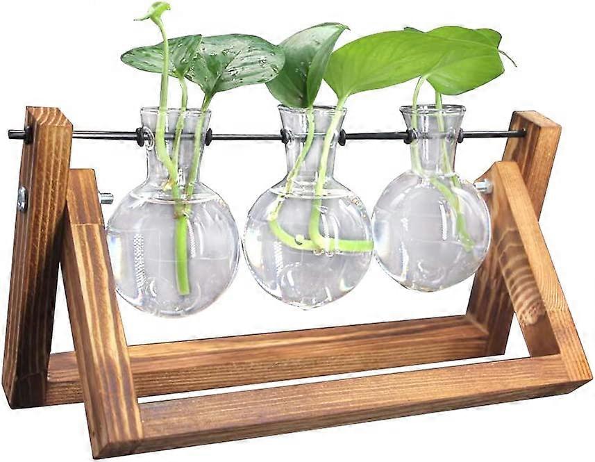Desktop Clear Glass Planter Bulb Vase(3 Vase)
