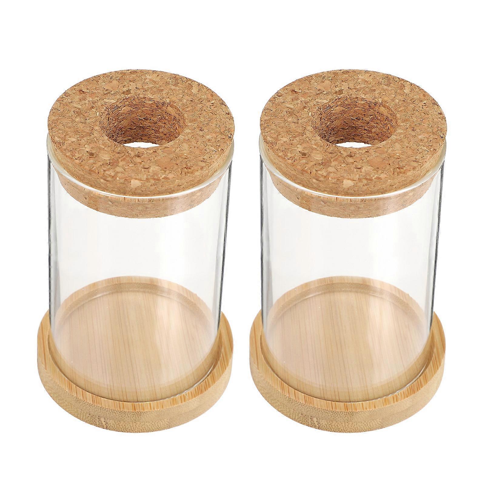 2Pcs Hydroponic Vase for Home Plant Terrarium Transparent Synthetic Material Suitable Size