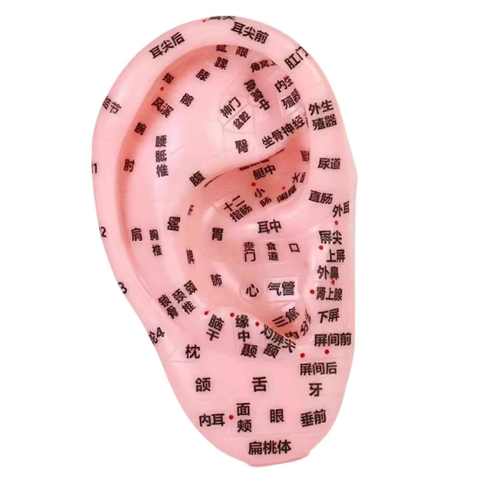 Humanohr Akupunkt -Massage -Praxis -Werkzeugsimulation Soft PVC Ear Teaching Model Practice Tool Nursing Training Aid