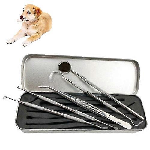 Dog Professional Dental Tools