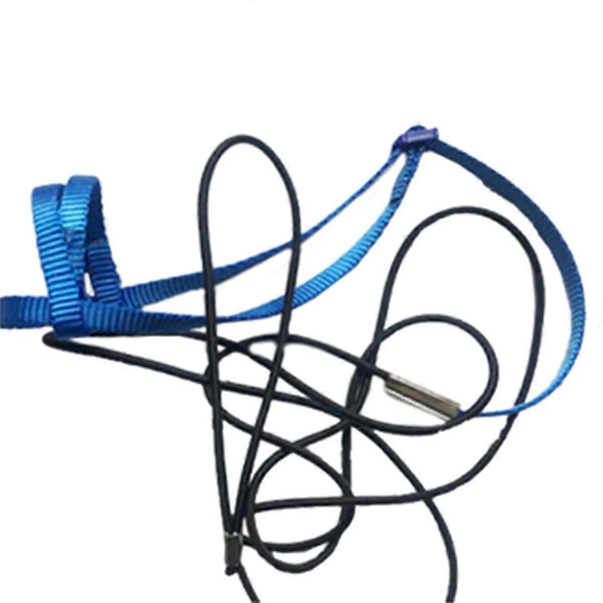 Parrot Bird Harness Leash Outdoor Flying Traction Straps Band Adjustable Anti-Bite Training Rope,Bl