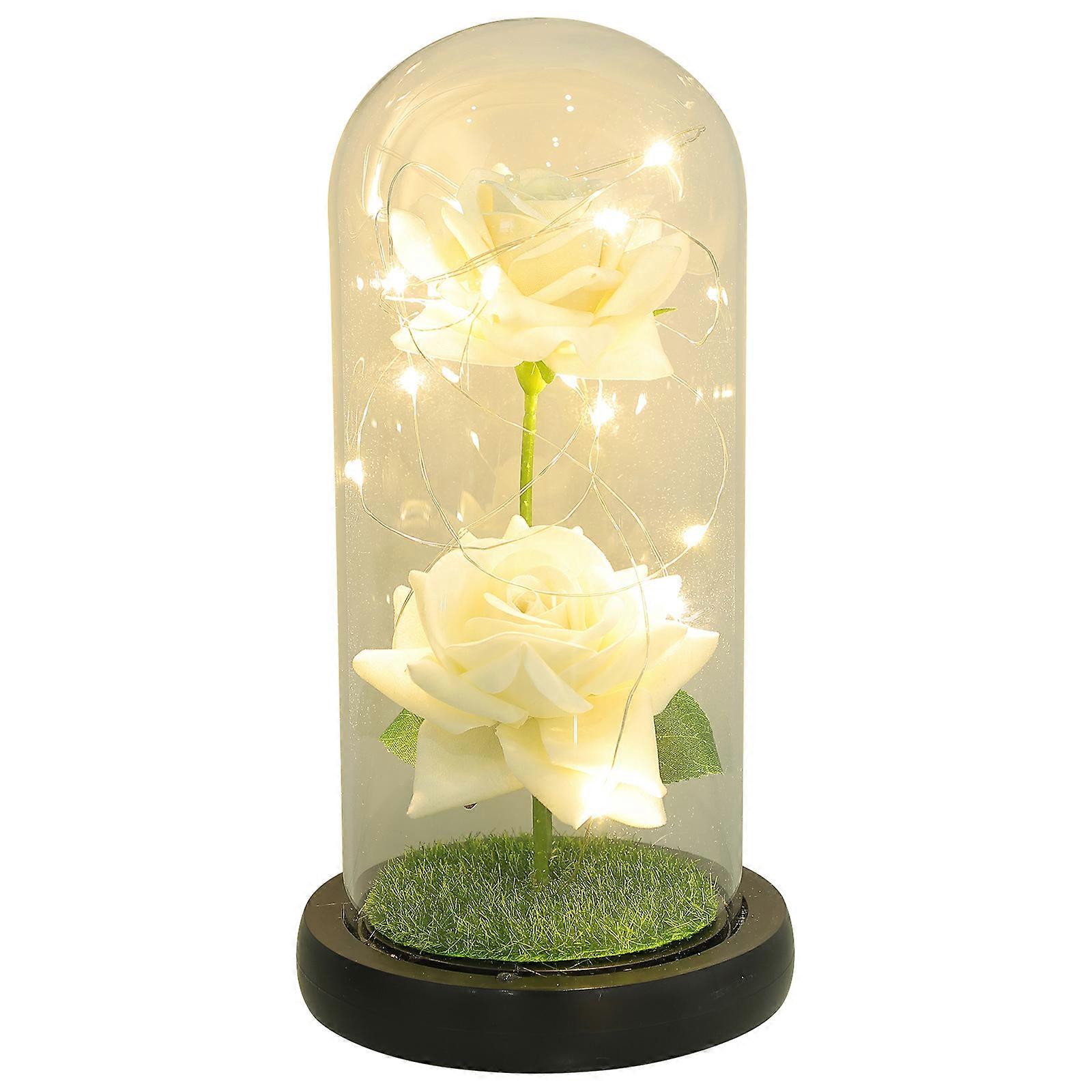Lamp for Valentine's Day 2Pcs Romantic LED Light Ornament