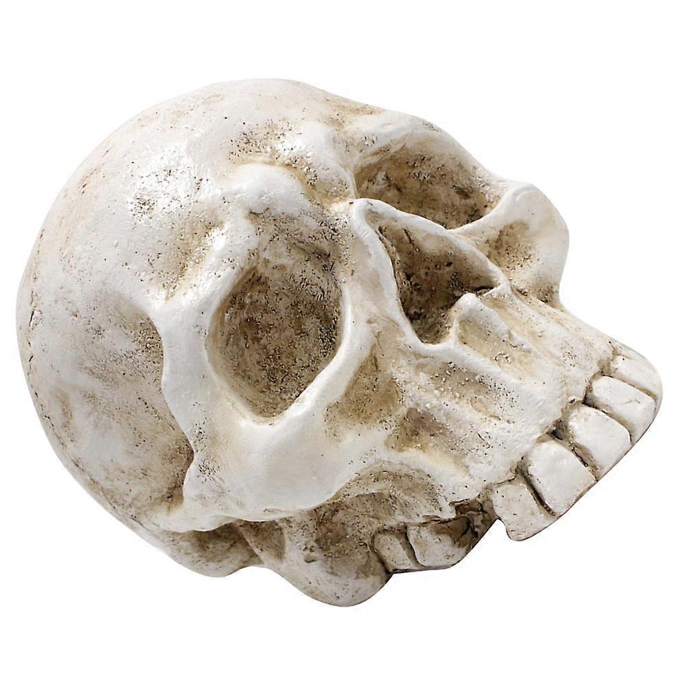 Simulation Skull Decoration Resin Skull Head Ornament for Display