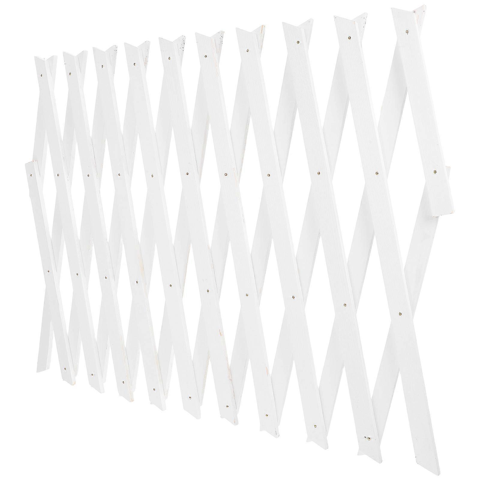 Wood Lattice Panel Trellis for Climbing Plants with Adjustable Design