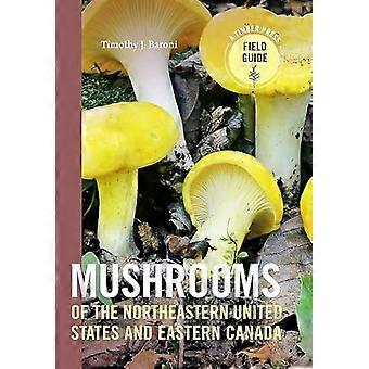 Paddestoelen van het noordoosten van de Verenigde Staten en Oost-Canada