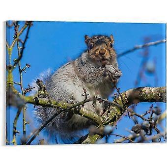 Jigsaw Puzzle Squirrel Animal Tree Rustic Modern VV737