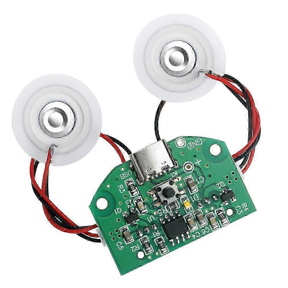 Compact Dual-Atomizer USB Driver