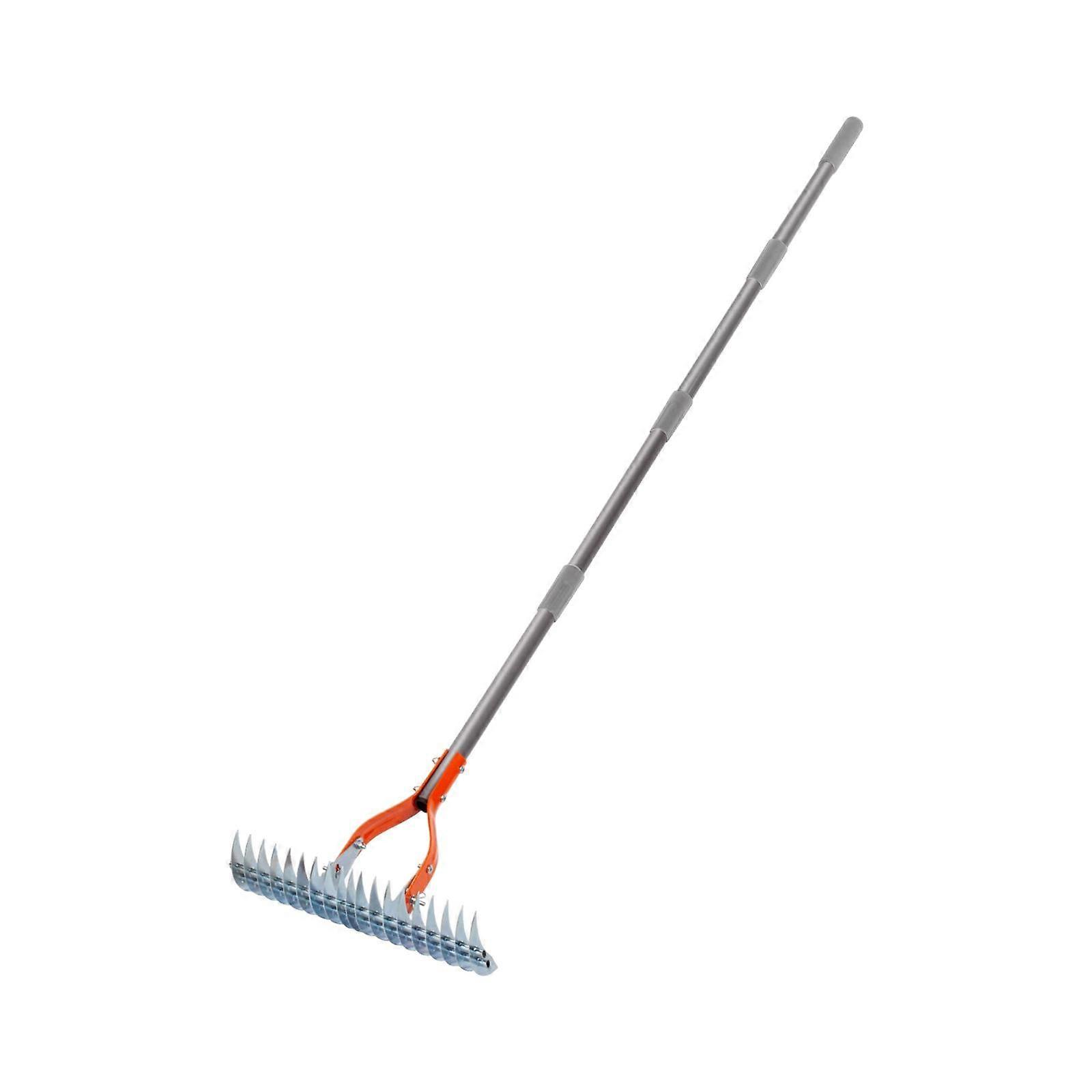 Thatch Rake Lawn Hay Rake for Cleaning Grass Dethatching Lawn Grass Grooming