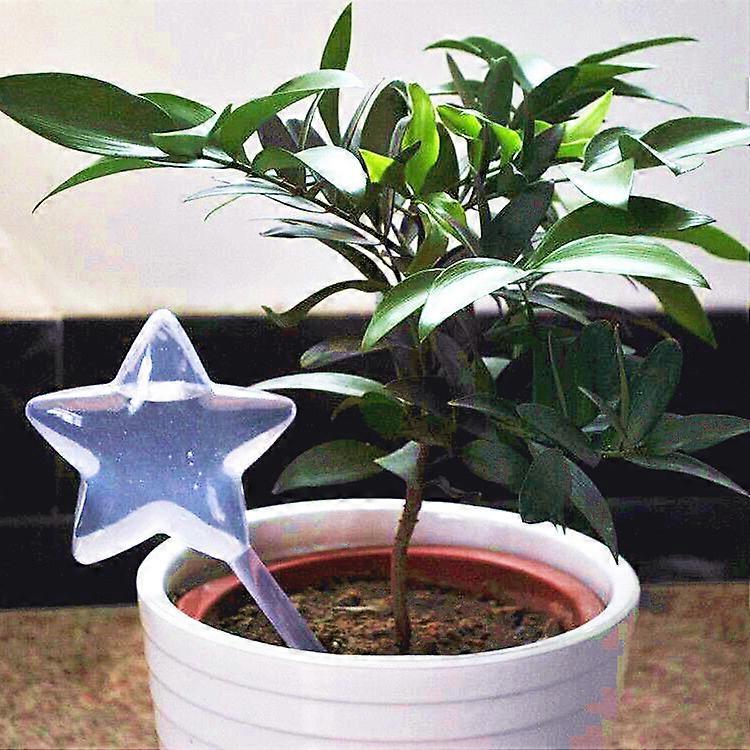 Dispositivo automático de rega de flores 2PCS