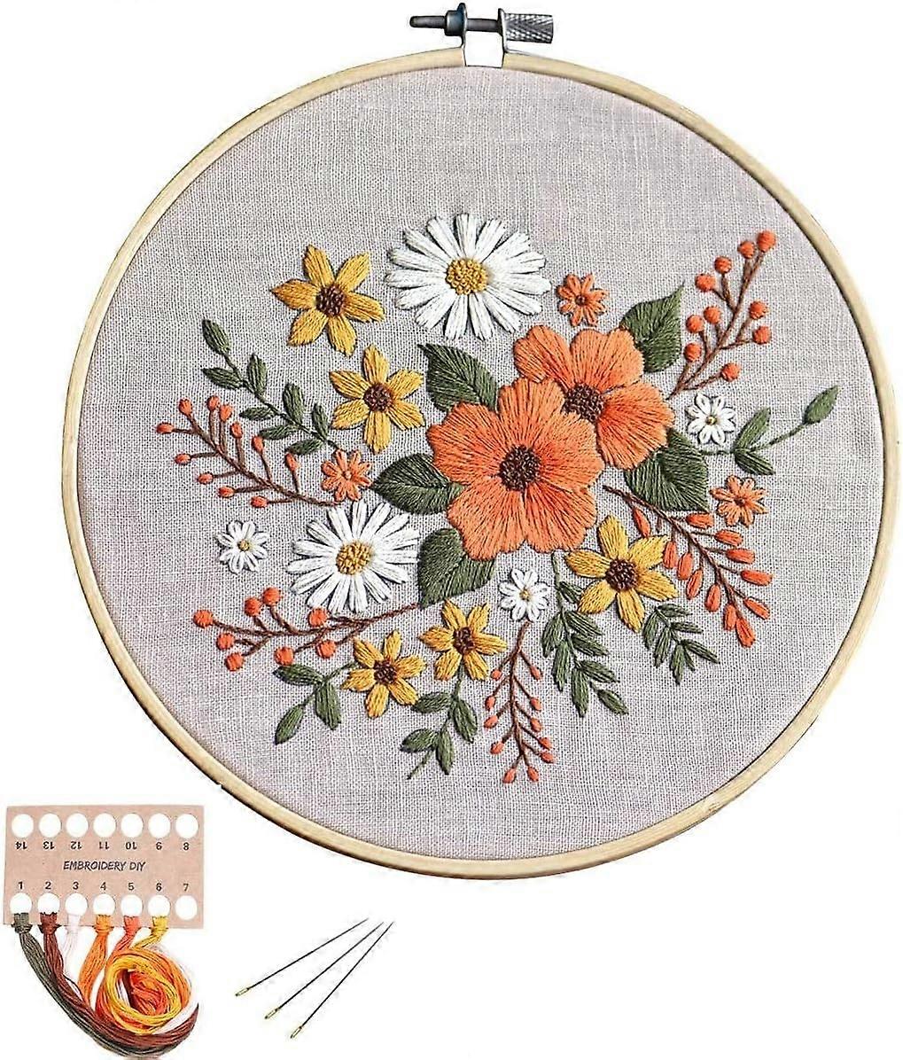 Full Range of Embroidery Starter Kit with Pattern DIY Beginner Starter Stitch Kit Including Stamped Cloth with Pattern, Bamboo Embroidery Hoop, Color