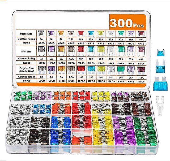 300 قطعة مجموعة متنوعة من فتيل السيارات ، 160 فتيل سيارات صغير + 90 صهر قياسي للسيارات + 50 صهر صغير + مجتذب الصمامات