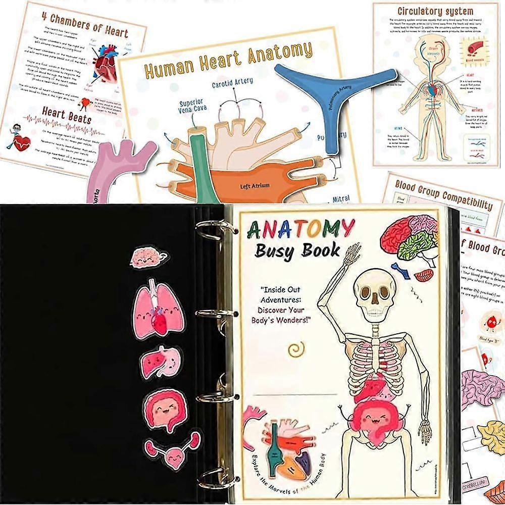 Cahier D'anatomie Humaine Effaçable – 100+ Pages Couleur, Idéal étudiants Médecine/infirmières – Apprentissage Interactif
