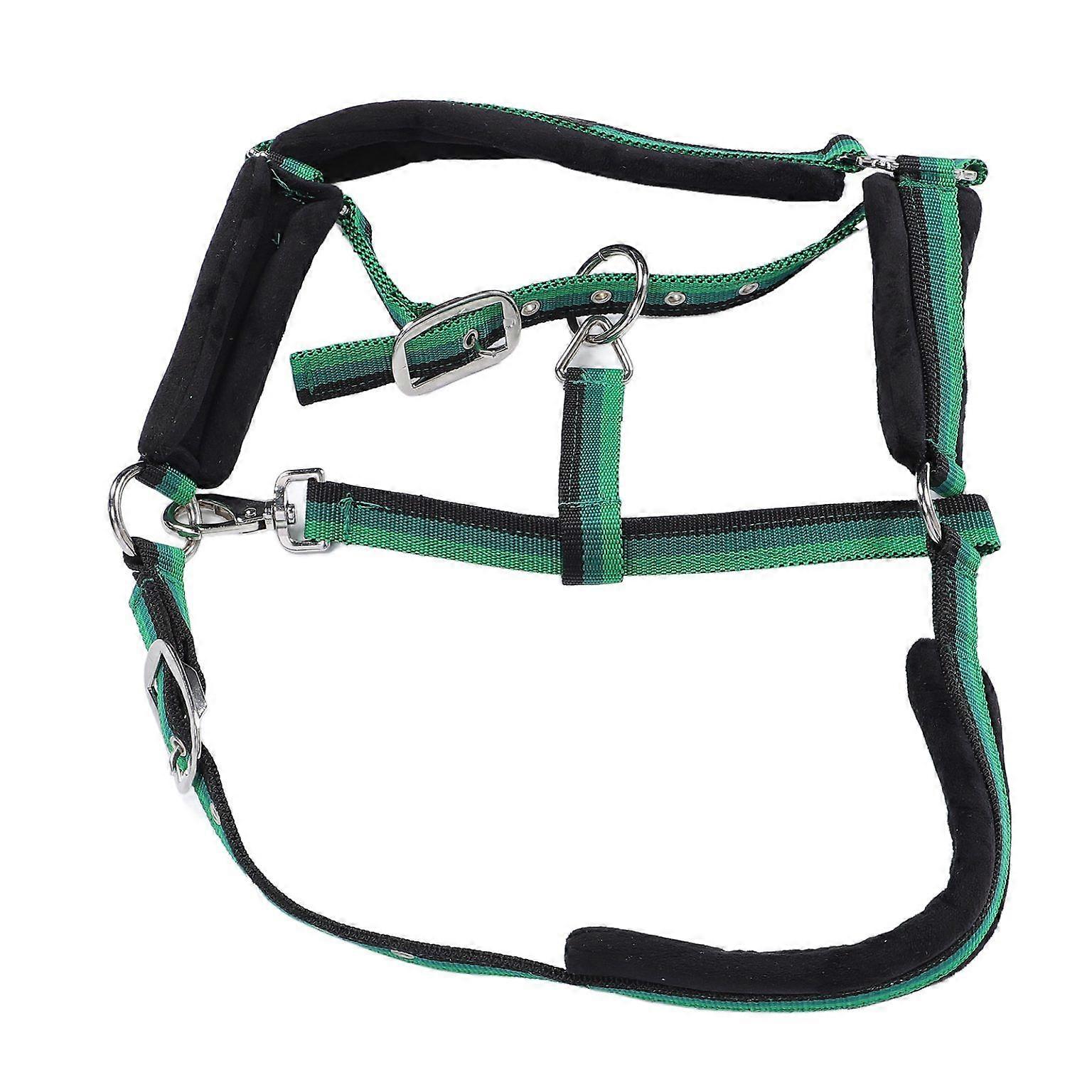 Padded Nylon Horse Halter with Chin and Throat Snap Hook
