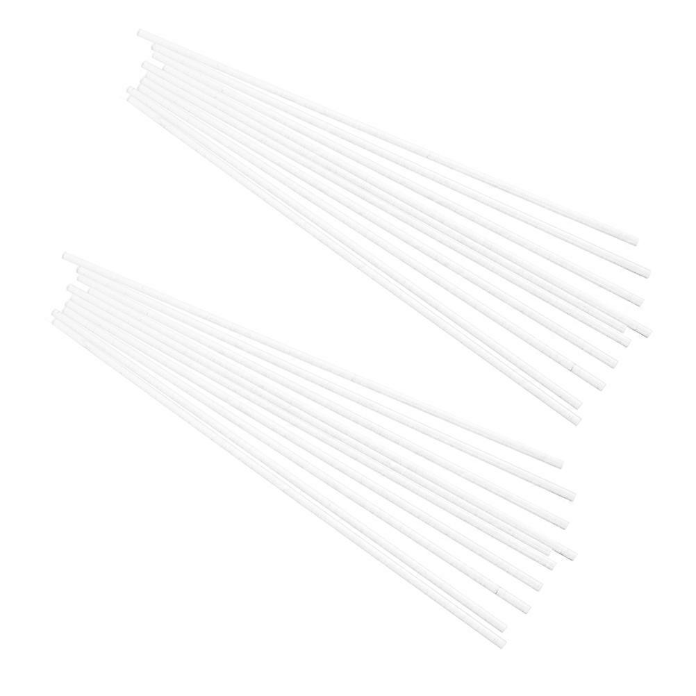 20pcs Acrylic Support Rods for Polymer Clay, Miniature Figures, Cake Dowels & Crafting Projects – Reusable Clear Sticks for Sculpting & Handmade