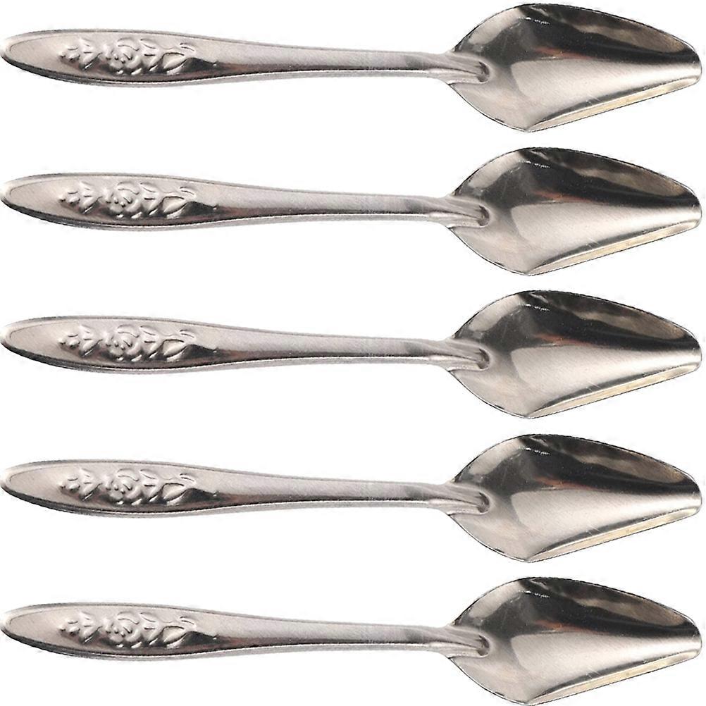Baby Parrot Feeding Spoon Metal Spoon for Multi-Purpose Bird Feeding 20Pcs