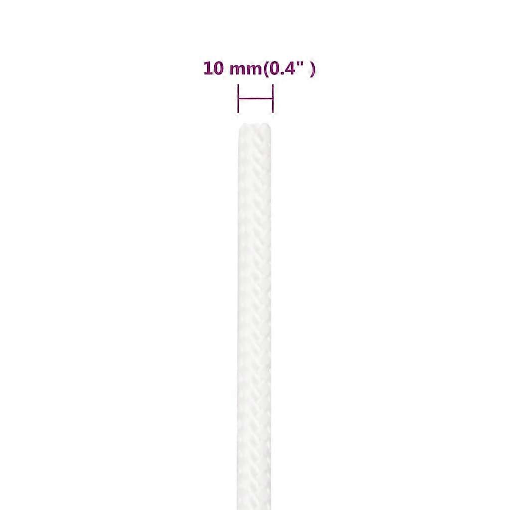 vidaXL Boottouw 10 mm 100 m polypropyleen volwit