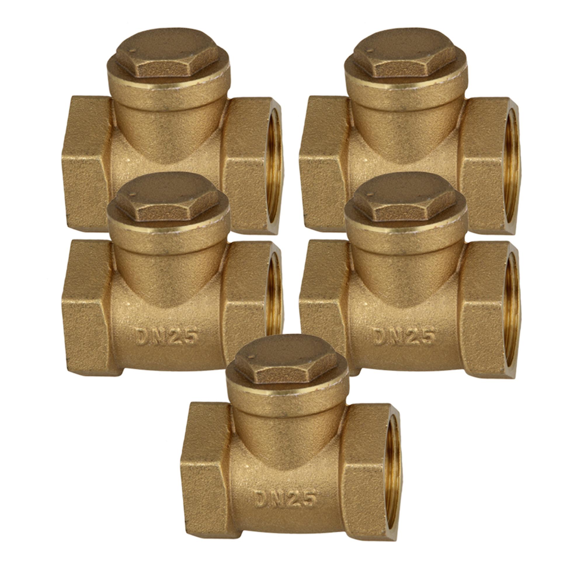 1Inch Brass Thread Female BSPP Swing Check Valve DN25 with ID 32mm Set of 5