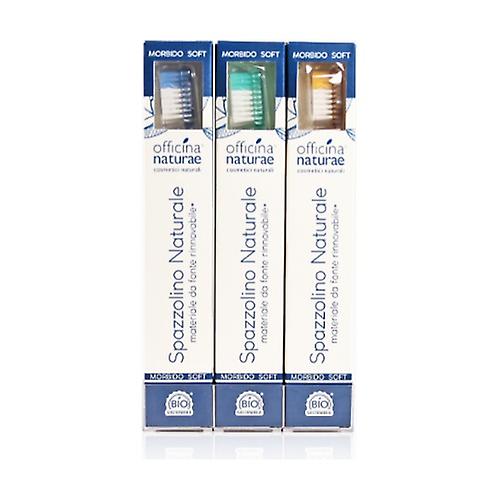Box of 12 adult toothbrushes 12 units