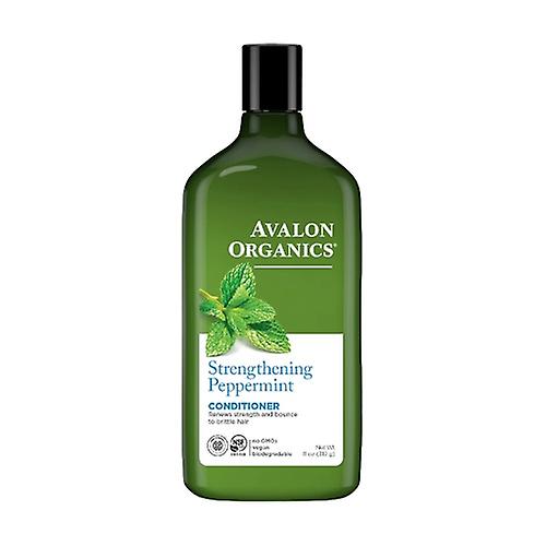 Mint conditioner 312 g