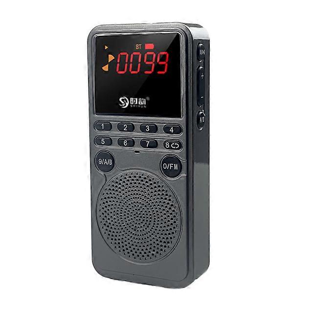 Mini FM Radio Portable Bluetooth 5.0 Speaker Recorder Stereo Music Player Support Handsfree TF Card AUX Automatic Channel Search