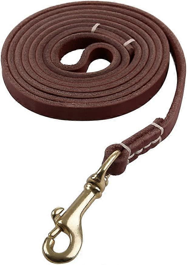 Leather Small to Medium Dog Leash, Leash, Brown