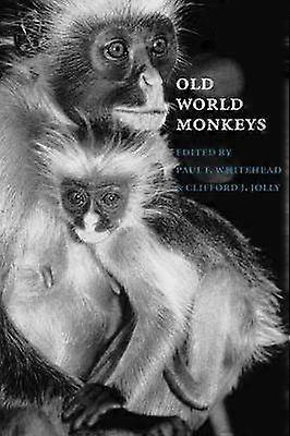 Old World Monkeys