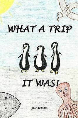 What A Trip It Was