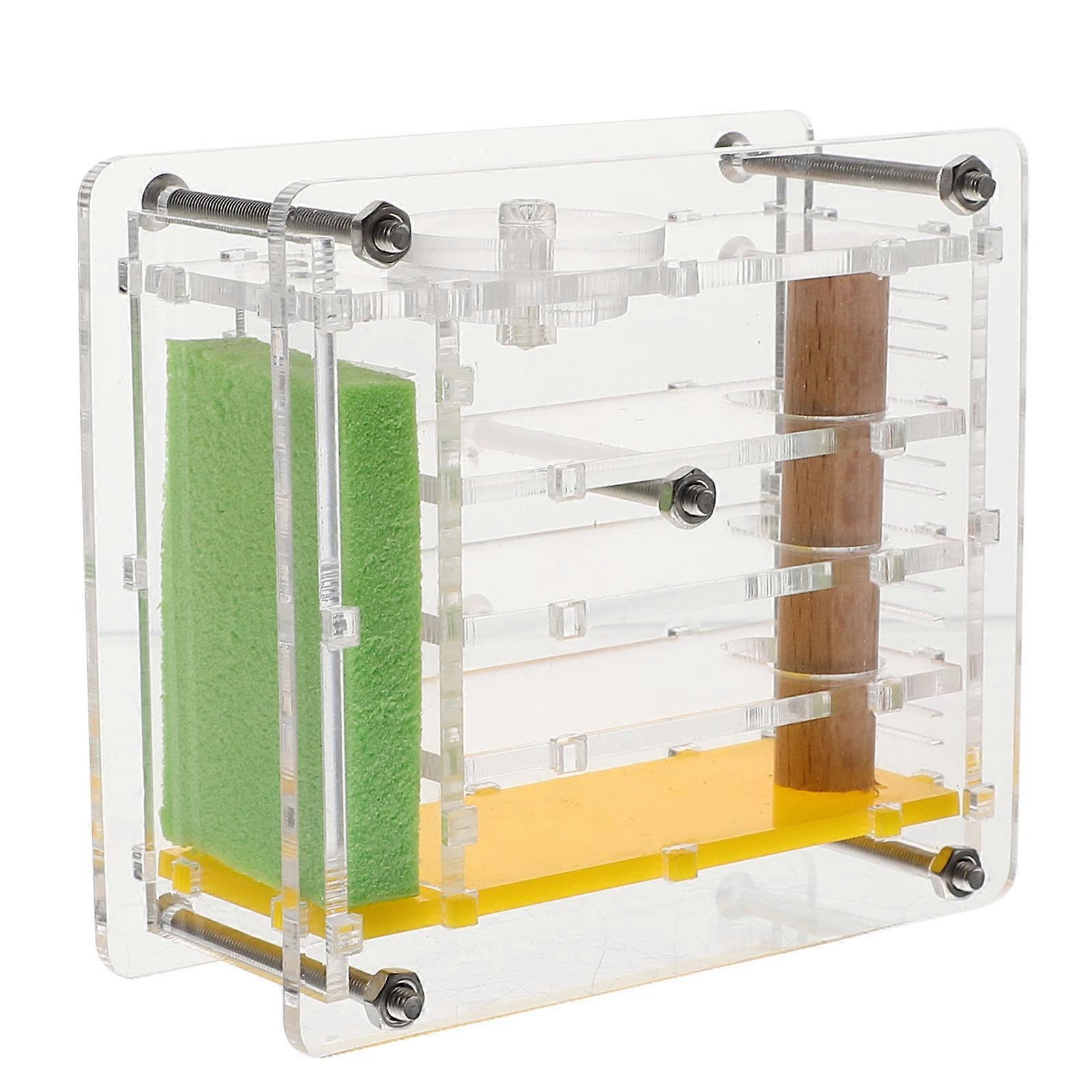Ecological Transparent Acrylic Ant Nest Box for Observation – Lightweight, Easy to Clean, Humidifying Tower for Home, Desk, and Kitchen Use