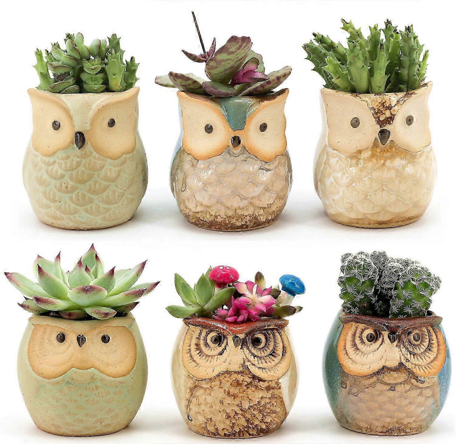 6PCS Owl Ceramic Flowing Glaze Planters Set for Succulents, Cacti, Bonsai - Valentine's Day 2025