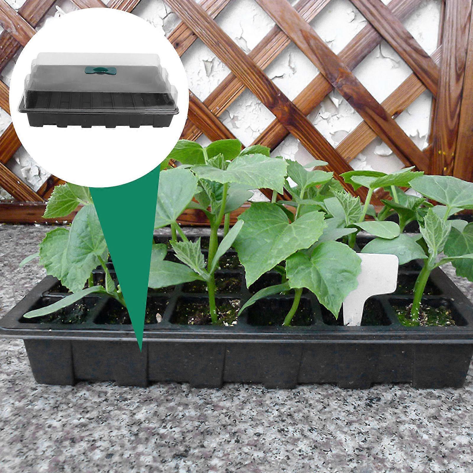 Plastic Sprouting Box Multi-Function Germination Box for Use 3Sets