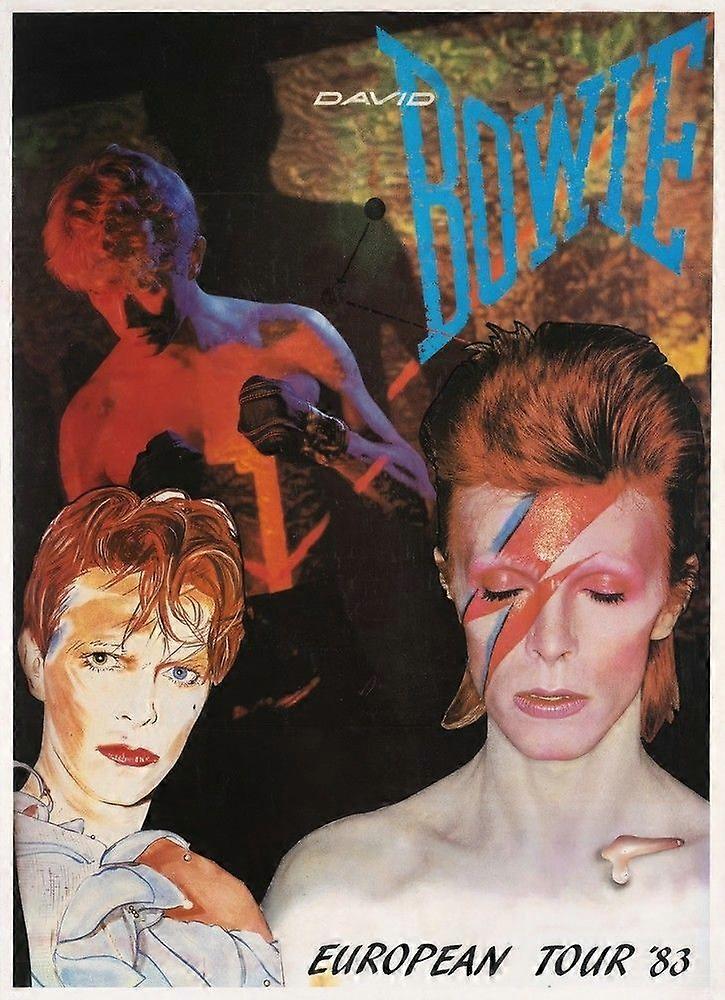 David BowieJigsaw Puzzle Brain Teaser UE 1901