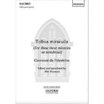 Tribus Miraculis