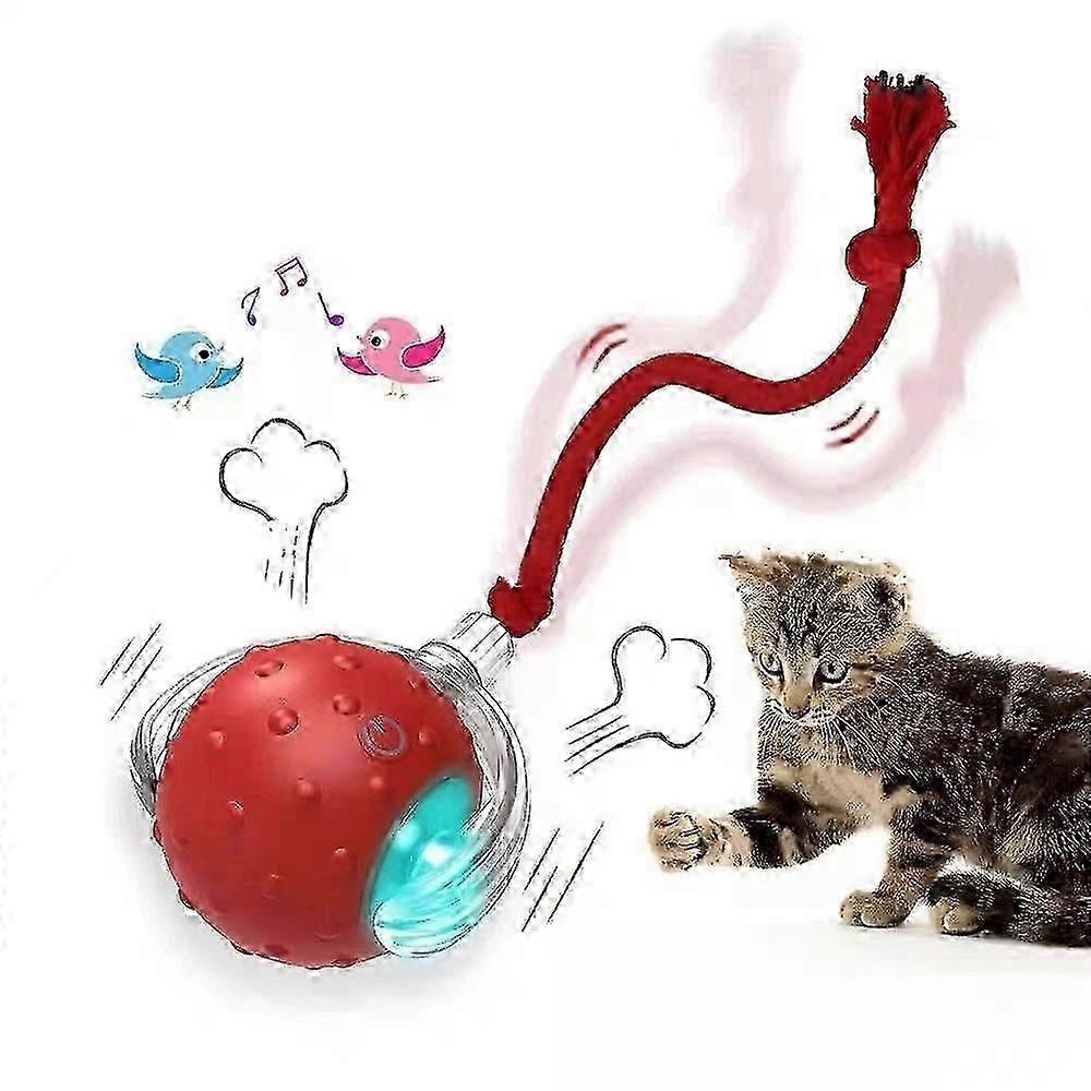 Tiny Fetch Dog Toy,Tinyfetch Interactive Dog Cat Toys Balls,Fast Moving Ball