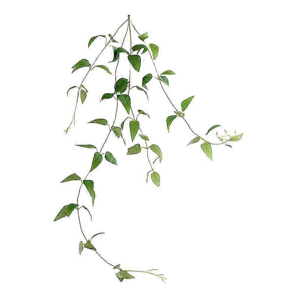 Realistic Clematis Rattan Vine