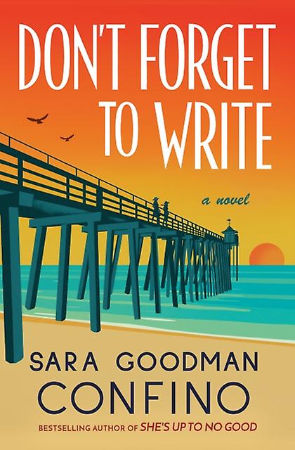 Dont Forget To Write by Sara Goodman Confino Paperback