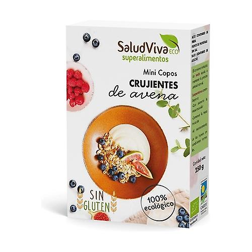 Mini Crunchy Eco Oatmeal Flakes 250 g