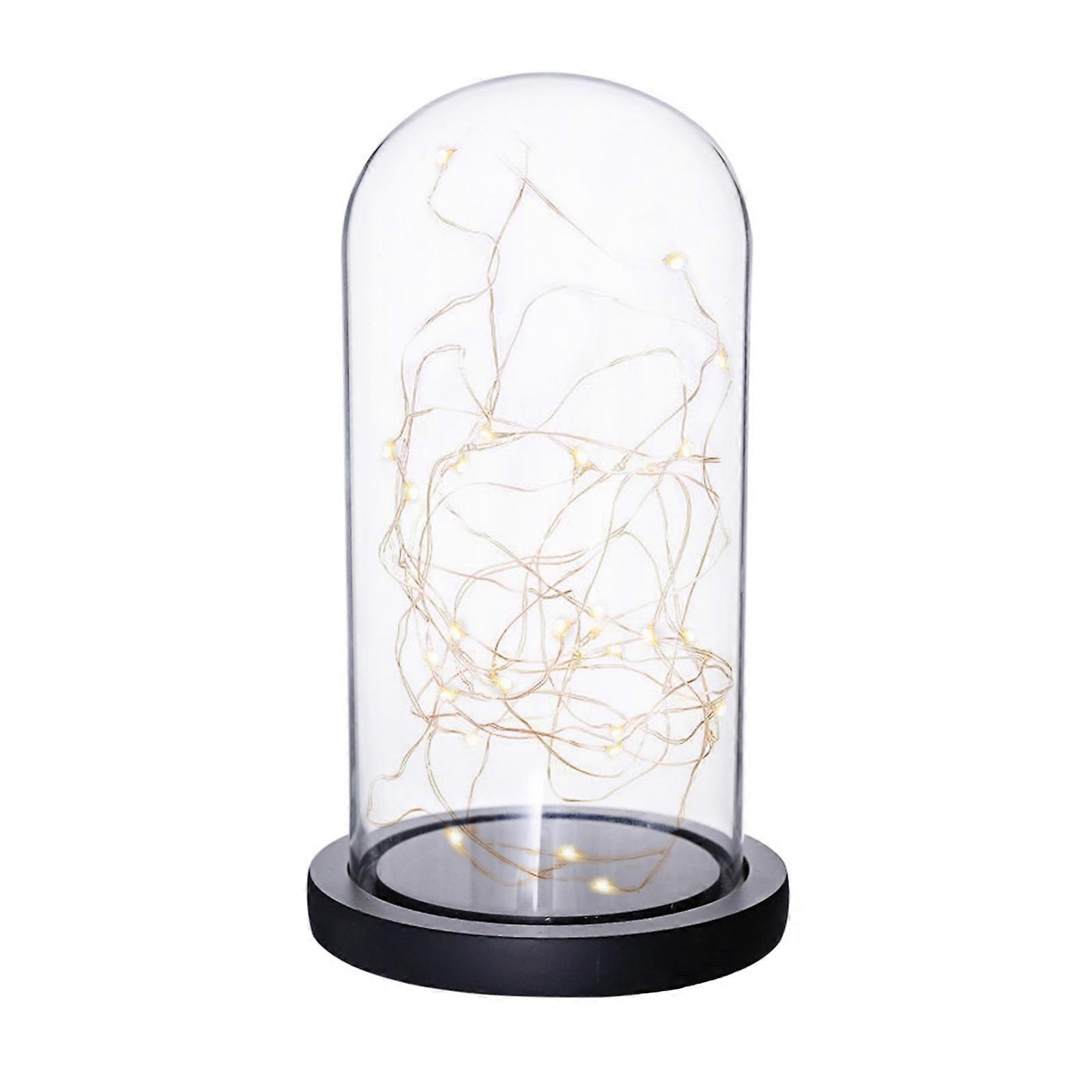 زجاجة تررم القباب الزجاجية مع قاعدة خشبية - عرض إبداعي للمنمنمات والنباتات والزهور